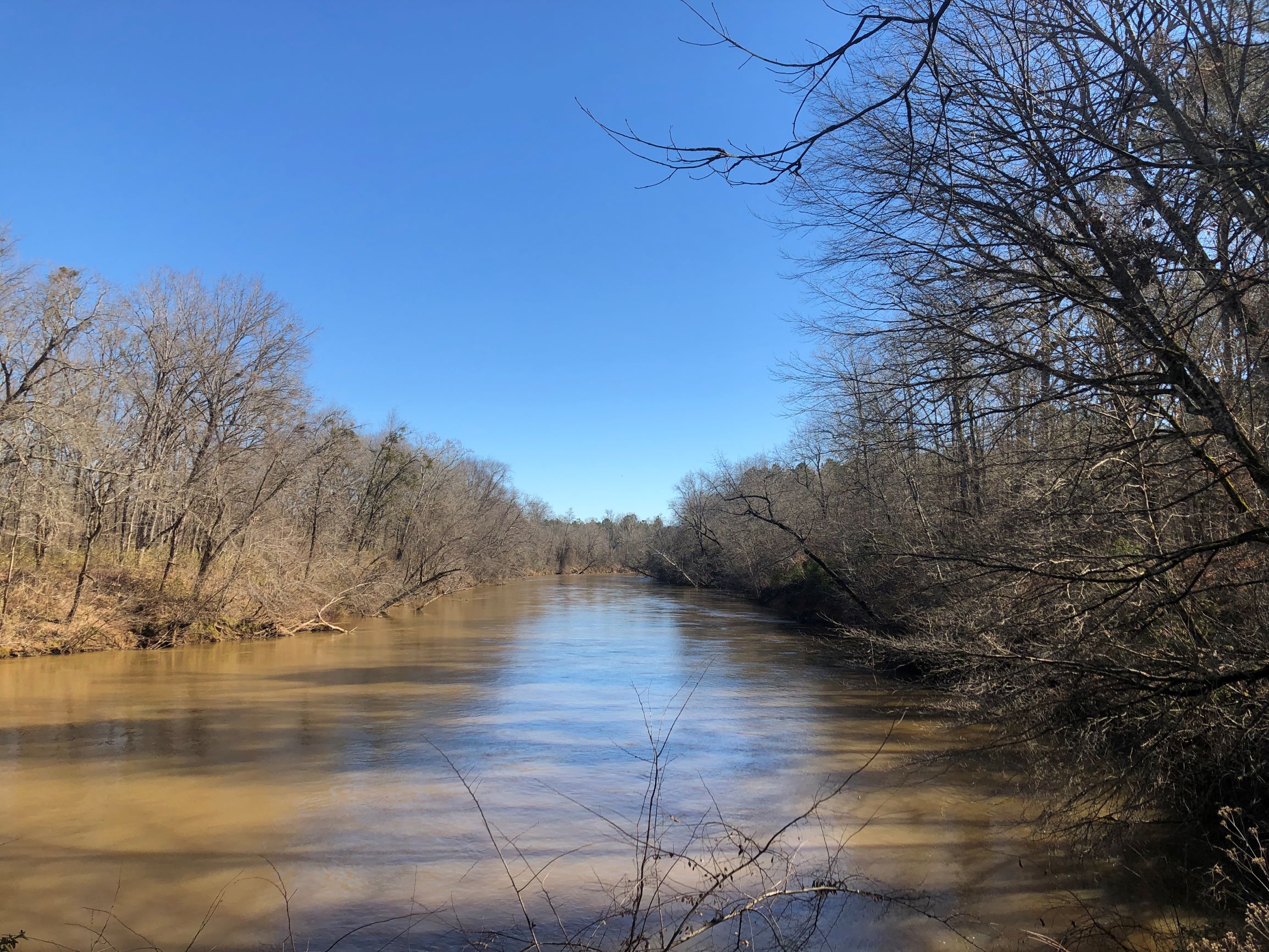 Timber & Recreation on the Broad River