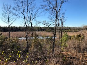 Gum Creek Hunting Tract