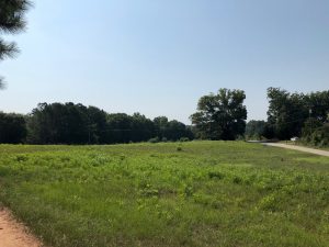 South Laney Country Home Site