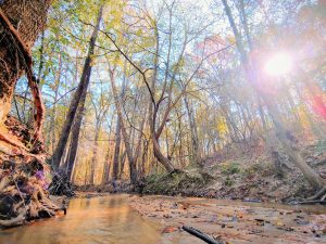Mealers Bridge Recreation Tract
