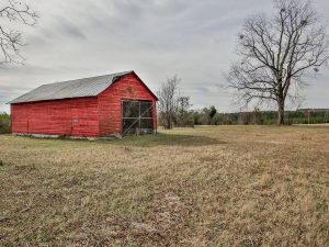 Veal Farm in Milledgeville, GA