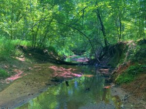 Creek Frontage, Hardwood, Affordable