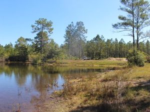 Creek & Timber Investment