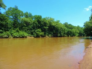 3,800 Ft of Broad River Frontage