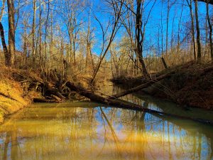 Cedar Creek Preserve