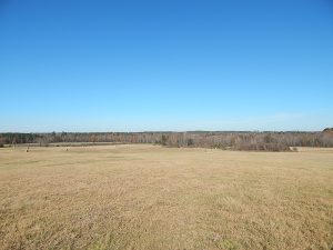 Little Brier Creek Farm