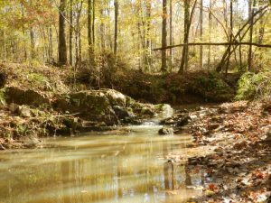 Hunting & Recreation West Baldwin