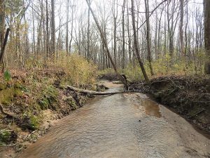 Big Timber Tract
