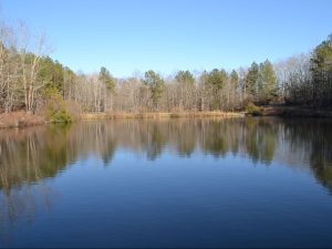Turn-Key Wildlife Retreat