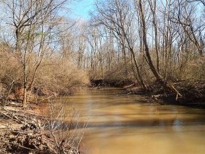 Murder Creek Hunting & Timber