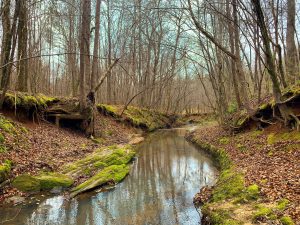 Rock Creek Tract