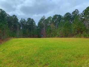 Affordable Recreational Tract