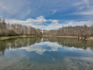 Stone Creek Hunting Retreat