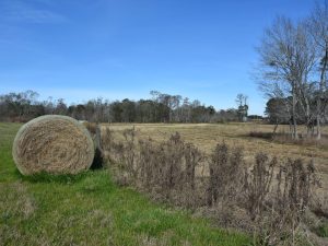 True Farm and Recreation Tract