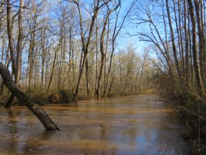 Little River Hunting & Timber