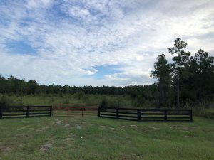 Springhaven Farms Lot