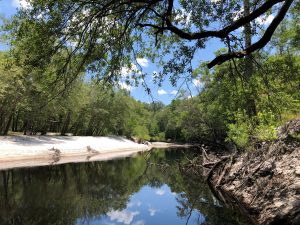 The Refuge on St. Marys River