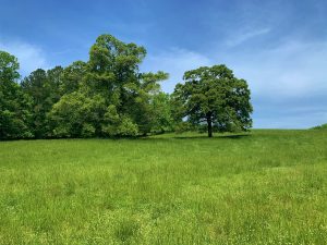 Post Road Farm