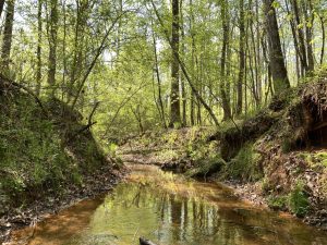 Recreation & Development Potential