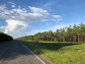 Springhaven Farms Lot