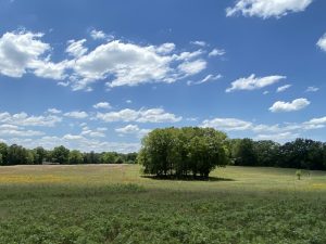 Country Homesite & Hunting