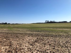 Timber, Ag Fields, & Hunting