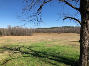 Hilldale River Farm