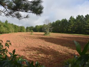 Secluded Hunting Escape