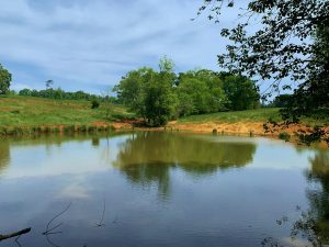 Homesite & Hunting