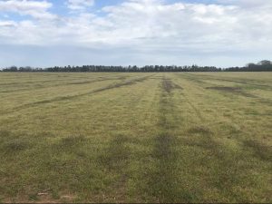 Open Farmland & Timber