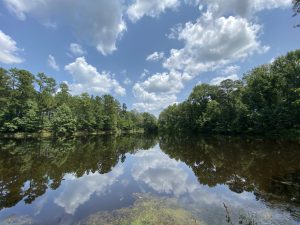 3 AC Fishing Pond & Cabin Sites