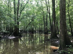 Cedar Creek Hunting Retreat