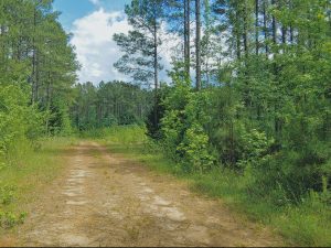 Recreation & Timber Tract