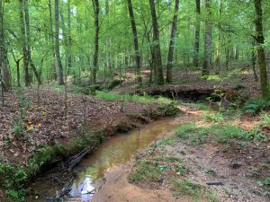 Homesite with Creek
