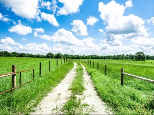 Turn-Key Cattle Ranch
