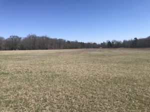 Hay Field or Great Home Site