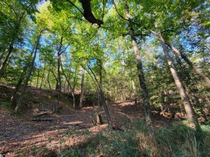 Secluded Hunting & Recreation