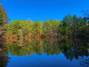 2 Ponds & 2,000 Ft of River Frontage