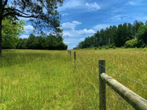 Seven Island Rd Home Lot