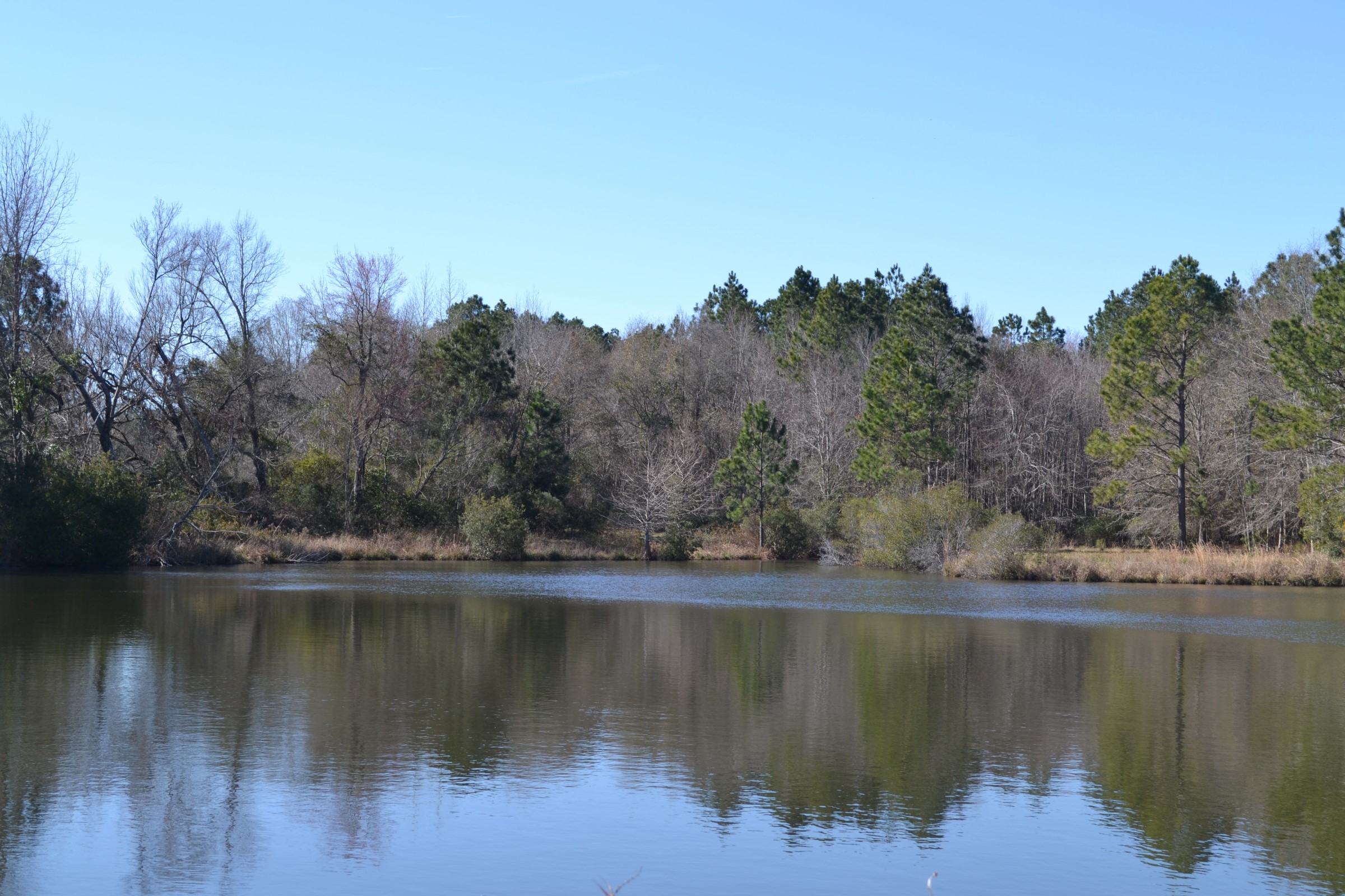 Farm & Hunting with 2.5 Acre Lake