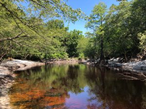 The Refuge on St. Marys River