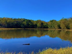 River Frontage w/ Quality Pine Timber