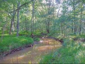 Pistol Creek Tract