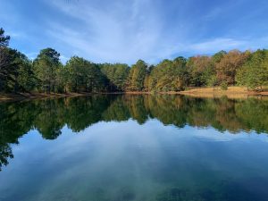 Cabin Sites w/ 2 Acre Pond