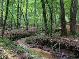 Home Lot – 16 Acres