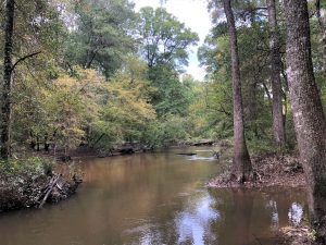 Affordable Land & Hunting