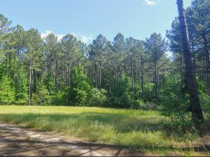 Trinity Church Recreation Tract