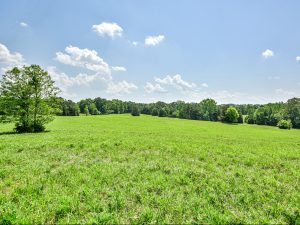 The Farm at Little Beaverdam