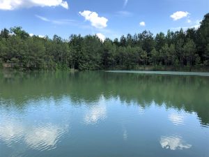 Timberland Investment & Recreation