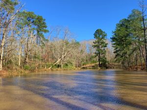 Hardwoods & Pasture